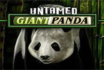 Untamed Giant Panda